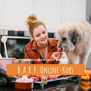 Barfen für Hunde