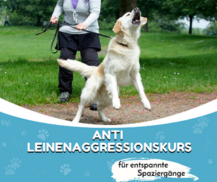 Hundetrainig Online- Leinenagression