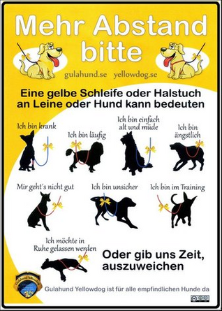 Gelber Hund - Abstand bitte