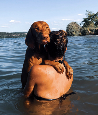 Schwimmen mit Hund - Tipps 