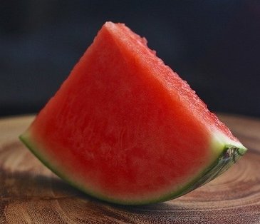 Wassermelone für Hunde - Tipps